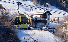 Wolf.Tirol